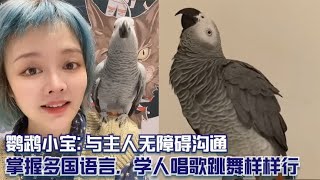 鹦鹉小宝: 与主人无障碍沟通，掌握多国语言，学人唱歌跳舞样样行