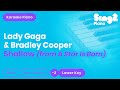 Shallow (Lower Key - Piano Karaoke) Lady Gaga & Bradley Cooper