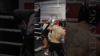 MMA Fighter vs Team USA WAKO Kickboxer | Caiden Cohen X Cameron Martin | Kickboxing Sparring