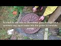 How do I test to see if rain water gets into the septic tank?
