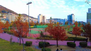 부산 서구 토성역에서 구덕운동장까지 산책 [4K] Korea Walking Tours TV