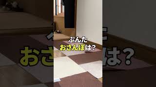 「おさんぽ」と言ったら走り出す犬 #shorts