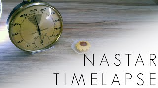 We kept a Nastar open for 275 hours (Iseng coba timelapse nastar selama 275 jam)