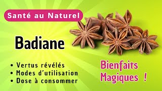 BADIANE : Pourquoi ce Remède Naturel Pourrait Révolutionner votre Ranté ? Les Réponses sont Ici !