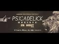 psycadelick repose en paix frédéric huot vidéoclip officiel