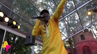 Alpha Blondy & The Solar System - Peace in Liberia - LIVE at Afrikafestival Hertme 2018
