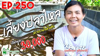 เพาะเลี้ยงปลาไหล ในบ่อซีเมนต์ สร้างรายได้ 30,000 บาท/เดือน l เกษตรกรไทย สร้างรายได้ Ep250