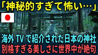 【海外の反応】「神秘的すぎて怖い！」日本のあの神社を海外メディアが特集！別格すぎる美しさに世界中が絶句…