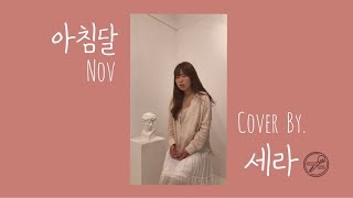 [뮤지션새끼] 🎤 Nov - 아침달 (Cover by  세라)