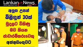 බිළිඳුන් 30 දෙනෙකු විකිණු බව කියන ජාවාරම්කරුවෙකු  පොලිසිය විසින් අත්අඩංගුවට|Baby farm Sri Lanka