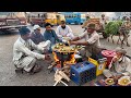 ONLY RS 70/- 🤫 PURE DESI PUNJABI FOOD ALOO PARATHA SAAG MAKHAN | ASIAN STREET FOOD LAHORE PAKISTAN