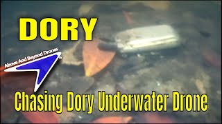 Dory Underwater Drone By Chasing Innovations in the Indian River - Real Life Review
