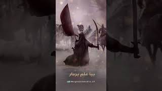 نوحه افغانی حضرت عباس | سید رضا حسینی