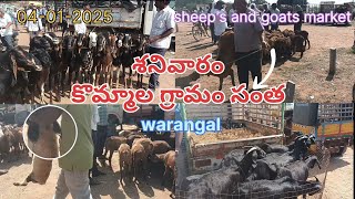 Kommala Village||saturday sheep \u0026 goat market Warangal|| గీసుగొండ మండలం,కొమ్మాల గ్రామం సంత,వరంగల్ ||