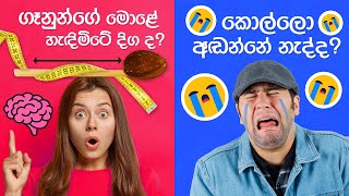 ගැහැණු සහ පිරිමි ලෝකෙ තනිවෙලා ද? Gender ගැන කතා කරමු l All about Gender