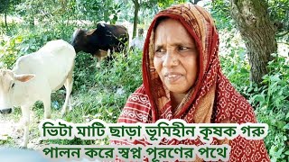 @cow farmভূমিহীন বিটা মাটি ছাড়া মোসলেম উদ্দিনের;  মুক্তচারন পদ্ধতিতে গরু পালন নিয়ে বিশেষ প্রতিবেদন