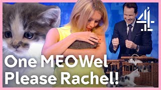 CHAOS When Jimmy Carr Brings Kittens To The Studio! | 8 Out Of 10 Cats Does Countdown | Channel 4