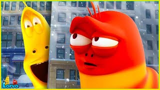 LARVA EPISODE 2025 - HIDE & SEEK / CARTOON MOVIES FOR LIFE | THE BEST OF FUNNY CARTOON