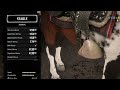 Thee BEST saddlestirrup combo in Red Dead Online (+4 spdacc AND infinite stam)