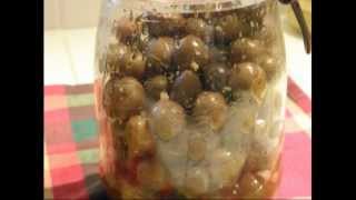 recette pour faire des olives vertes en conserves