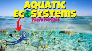 Top Facts About AQUATIC Ecosystems 🐟 🐋 Educational Lessons for Kids