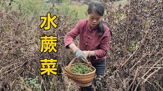 廣西人不吃的野菜，三嫂當成寶，喊大嫂一起品嚐春天的第一餐蕨菜【農人家三嫂】