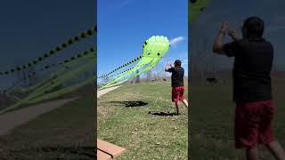 Huge Octopus Kite (26 ft)