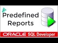 Oracle SQL Developer - Predefined Reports