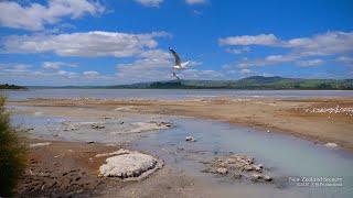 4K Lake Rotorua NEW ZEALAND ニュージーランド 紐西蘭 Part 17