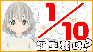 【花言葉】１月１０日の誕生花は？／花白もか