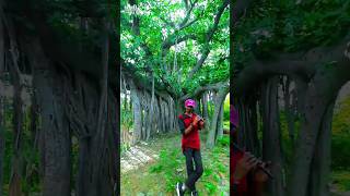 #flutesong#bansuri ke soor #vikramthakorstatus #alpesh_thakor #yputubeshorts #gujratistatus 2024