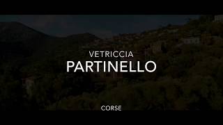 Small village Corsica near Gulf of Porto aerial view 4K UHD