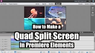 How to Make a Quad Split Screen | Adobe Premiere Elements Training #10 | VIDEOLANE.COM