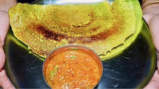 10  मिनट में बनाए पूरी प्रोटीन वाली थाली ऑफ़िस लंच |OfficeTiffinBox Protein Dosa  Chutney