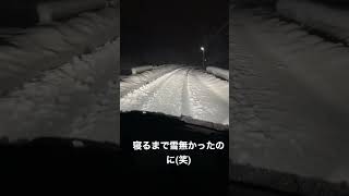 #shorts  またも大雪😭