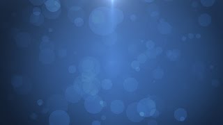 Motionbolt.com - Better Than Best