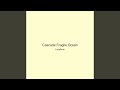 Cascade Fragile Ocean