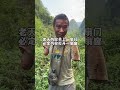 在山里一位特殊的大哥好像攔我車