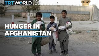 Taliban leaders in Oslo as hunger grips Afghanistan