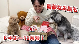 保護犬やブリーダーさんに届け！ドギボー12月号が素敵すぎて飼い主も愛犬も嬉しい気持ちに！