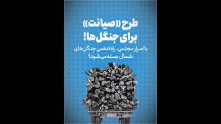 تلاش مجلس برای هموار کردن مسیر تخریب جنگل‌های هیرکانی در شمال ایران