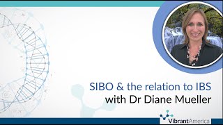 Small Intestinal Bacterial Overgrowth (SIBO) & the relation to Irritable Bowel Syndrome (IBS)