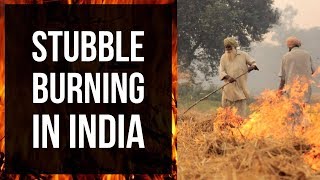 (English) Stubble Burning in India - Issues and Organic Solutions for Agriculture pollution