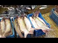 a biggest shrimp fish market in bangladesh বাংলাদেশের সবচেয়ে বড় চিংড়ি ও সাদা মাছের আড়ৎ