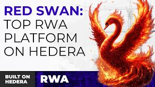Built on Hedera - RedSwan Leads RWA.xyz - Real World Assets
