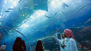 Dubai Mall Aquarium And UnderWater Zoo | United Arab Emirates|