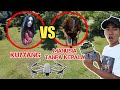 NONTON PERTARUNGAN KUYYANG VS MANUSIA ANEH DARI DRONE! | Mikael Family