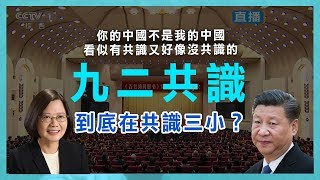 【長男次男】九二共識到底在共識三小？讓「他們」說給你聽