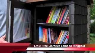 Ringgold Georgia adding 10 new libraries