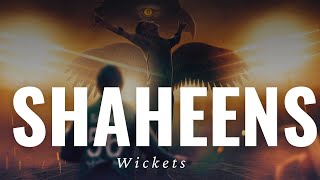 Shaheen Shah Afridi,  The King Of Swing At His Best ,,